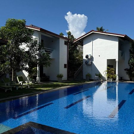 滨江小屋旅馆 米瑞莎 外观 照片