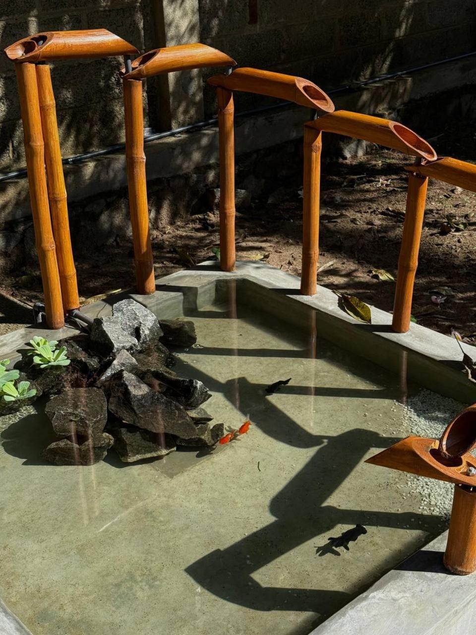 滨江小屋旅馆 米瑞莎 外观 照片